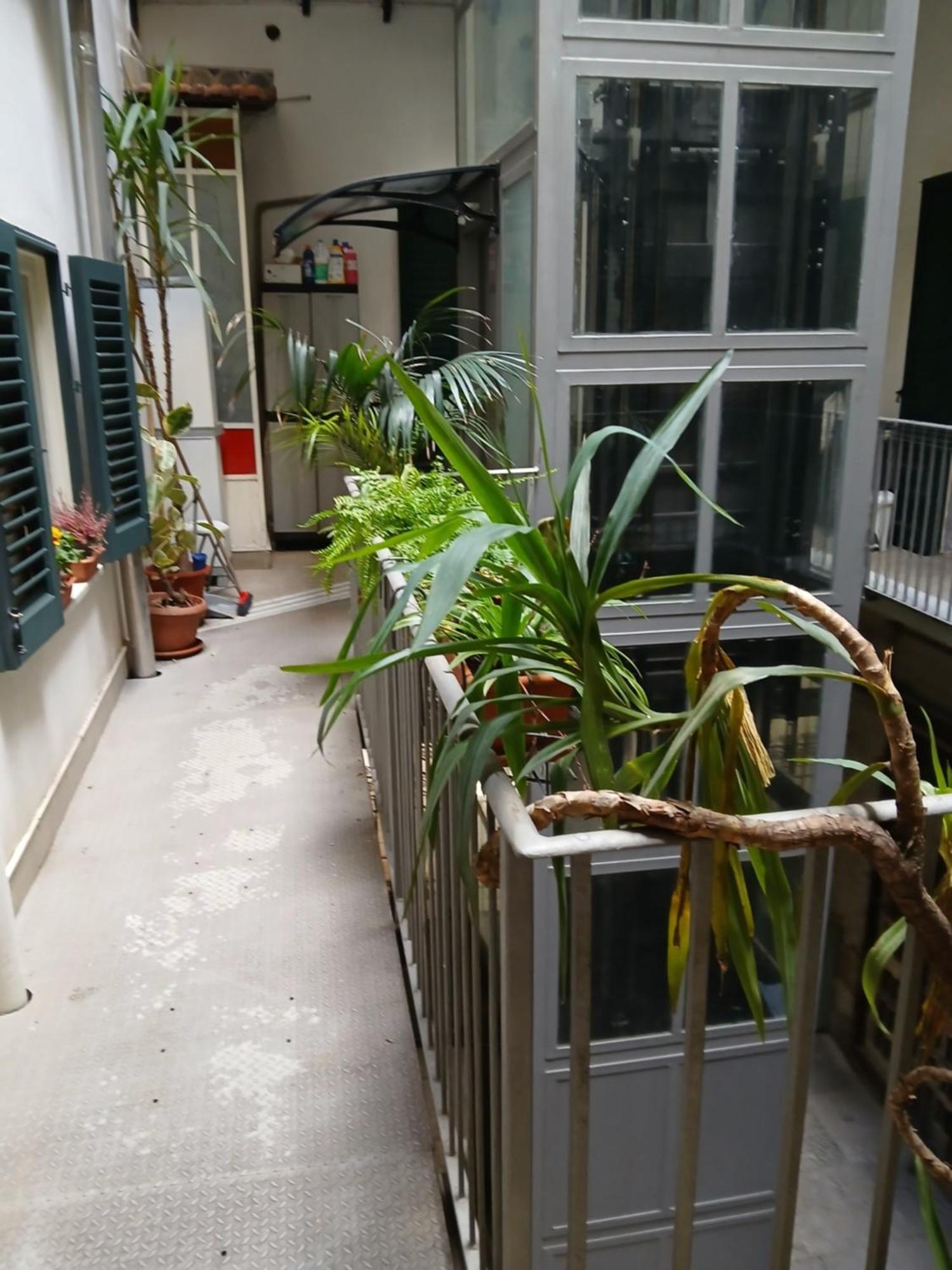 B&B Casa Degli Artisti Palermo Exteriér fotografie